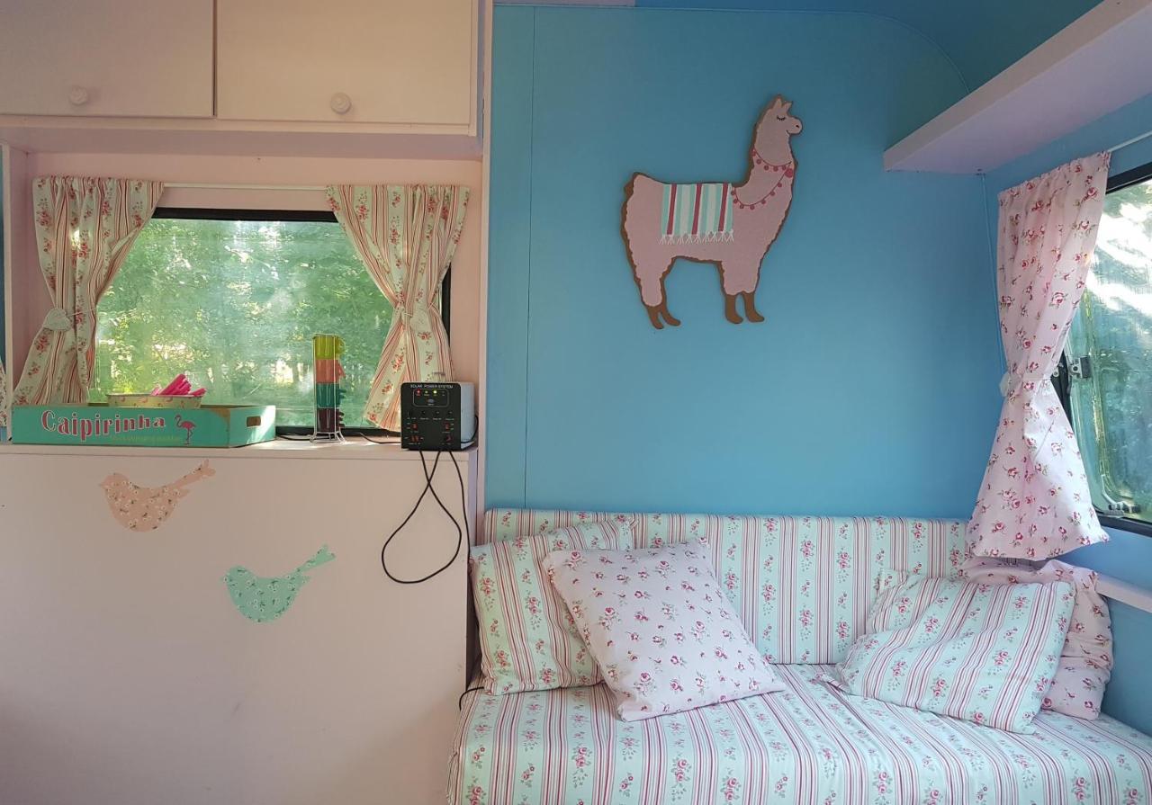 Camping Bois De St Hilaire Chalandray Exterior photo