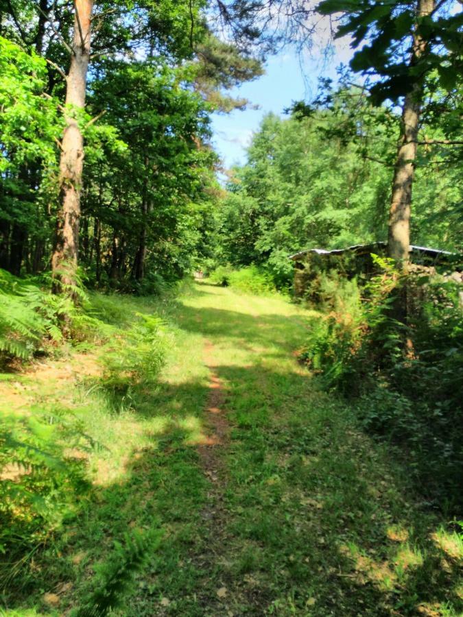 Camping Bois De St Hilaire Chalandray Exterior photo
